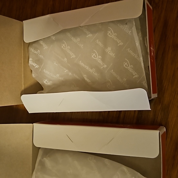 (2) *Empty* American Girl Disney boxes - Picture 6 of 7